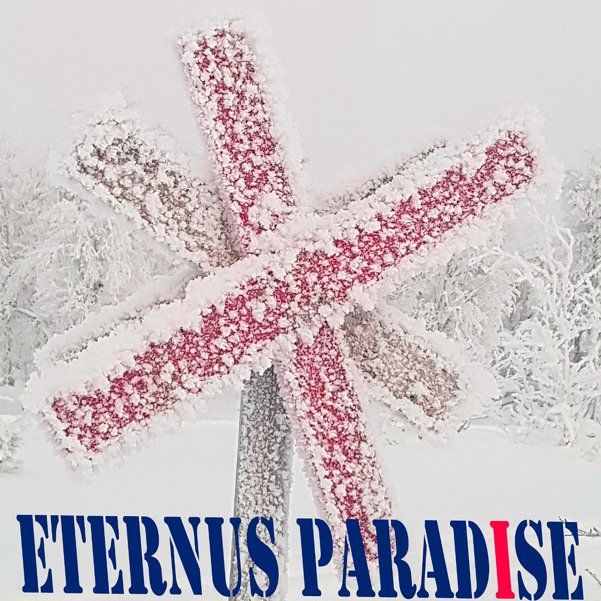 Eternus Paradise Tärnaby エクステリア 写真